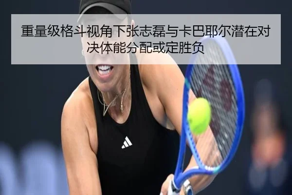 重量级格斗视角下张志磊与卡巴耶尔潜在对决体能分配或定胜负