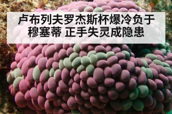 卢布列夫罗杰斯杯爆冷负于穆塞蒂 正手失灵成隐患