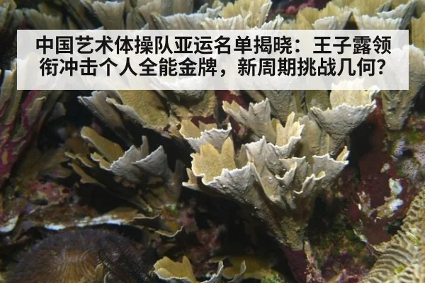 中国艺术体操队亚运名单揭晓：王子露领衔冲击个人全能金牌，新周期挑战几何？